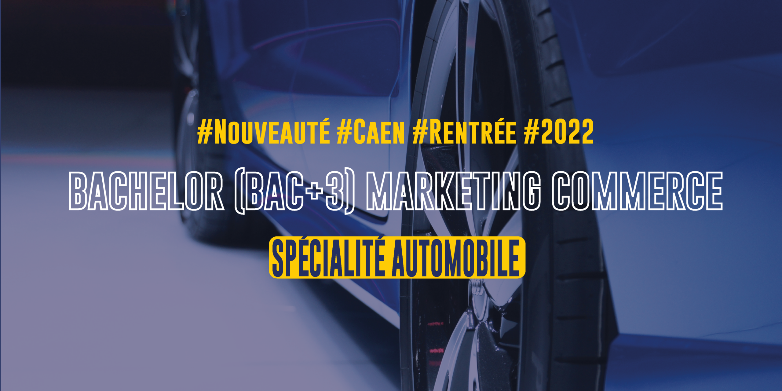 Nouveau : Bachelor Marketing Commerce option automobile à Caen